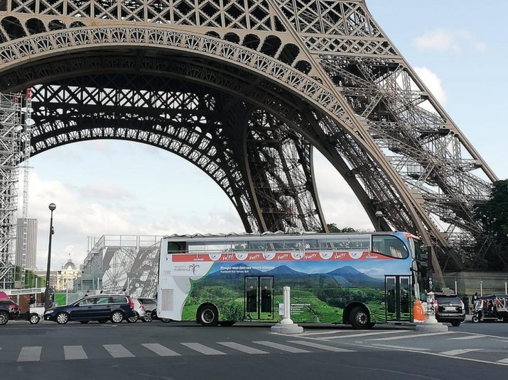 FIFA Women's World Cup Indonesia